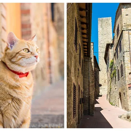 アパート Il Capitello サン・ジミニャーノ