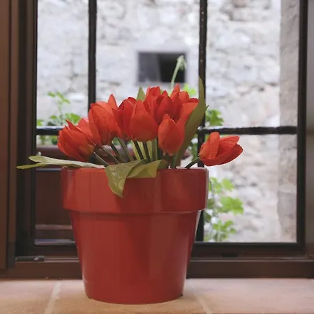 Daire Il Capitello *